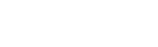 다음