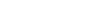 현대차